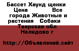 Бассет Хаунд щенки › Цена ­ 20 000 - Все города Животные и растения » Собаки   . Тверская обл.,Нелидово г.